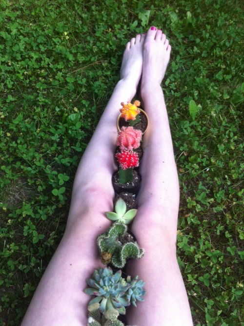 plantcreep:leafla:the famsucculent queen