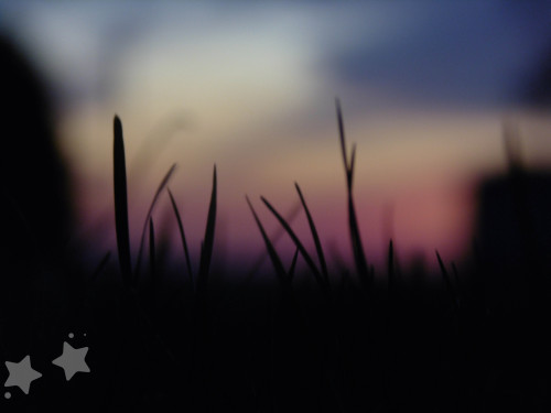 starbarphotography