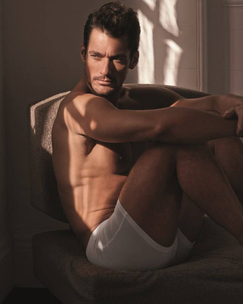 djgdavidgandy:  (II) David Gandy for #GandyForAutograph (M&S Collection) photographed by Mariano Vivanco via (The Production Factory)  *wipes away drool*