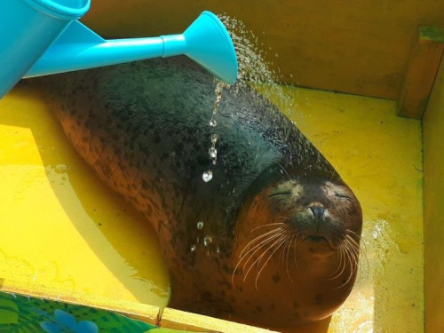 Today's Seal Is: Cultivated