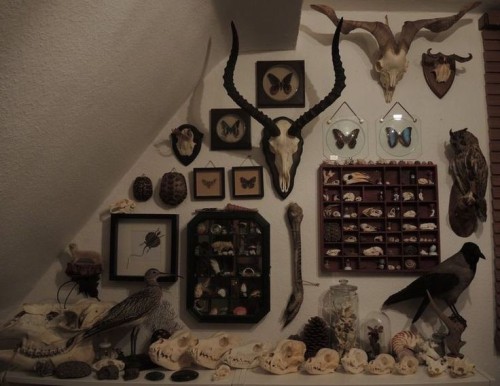 Rooms That Reminds Me Of Alice In Wonderland And Howls Moving Castle>>
