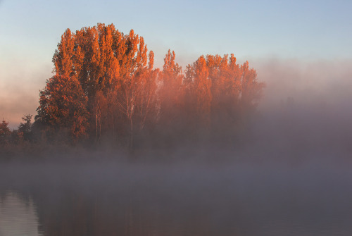 dennybitte:   a quiet foggy morning  by Denny Bitte