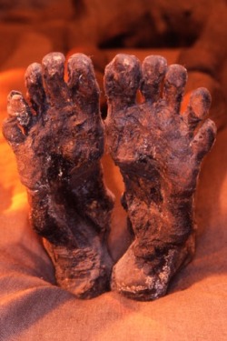 Feet of Pharaoh Ramses I. He resided unrecognized