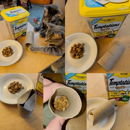 necrofuturism:How to make my 200% Guaranteed Effective Cat Confuser!!!Take a toilet paper tube and f