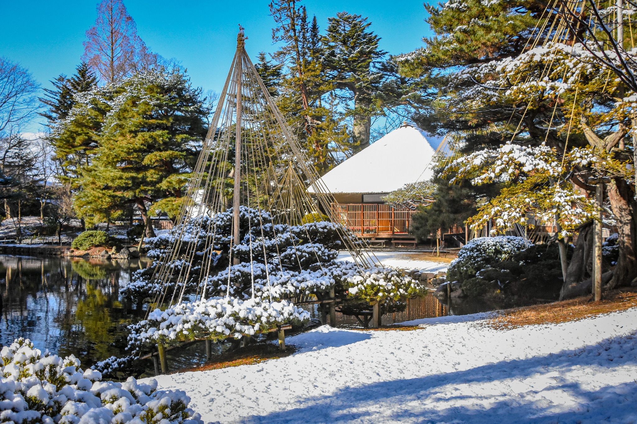 city-cost:Any Japanese garden fans out there?  This one is a beauty.This is Oyakuen