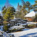 city-cost:Any Japanese garden fans out there?  This one is a beauty.This is Oyakuen