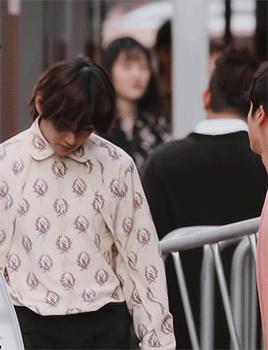 vangtae:soft