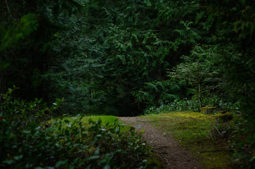darkcoastphotography: Morrell Sanctuary, Vancouver Island, British Columbia tumblr | flickr | facebo