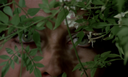 filmaticbby: Virgin Witch (1971) dir. Ray Austin