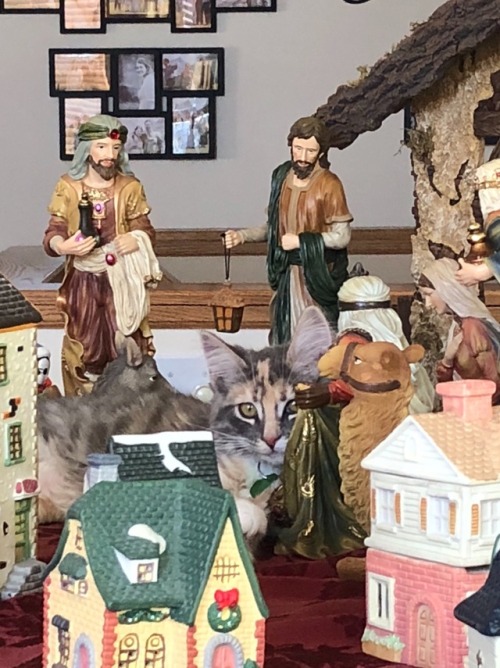 adventures-in-a-box: Chilling with Jesus and the fam….on top of the piano