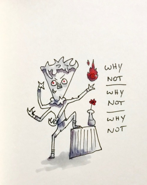 (14) Why Not?