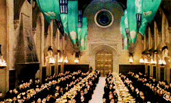 shieldmaidenofrohann:  Books:Harry Potter and Philosopher’s Stone [1/7]Chapter 