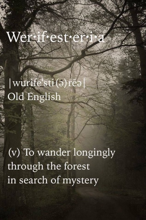 oldfarmhouse:OLD English(V)To wander longingly through the forestIn search of mystery Mia✪ Exklusive