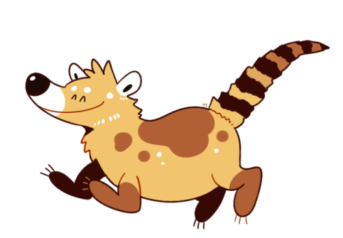 Coati!