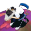 determiina