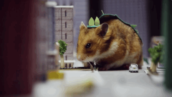 huffingtonpost:  Tiny Hamster Is Back And This Time It’s A GIANT MONSTERCue Godzilla