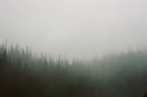 thesoutherly:  Alana Paterson 
