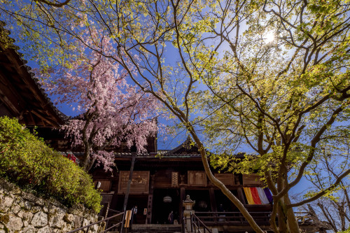 春彩の寺