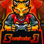sorafoxbr