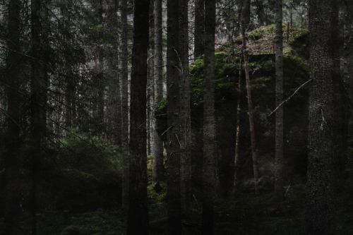 heathenharnow: Där långa skuggor ruva - Part IV - XII, XIII, XIV© Heathen Harno