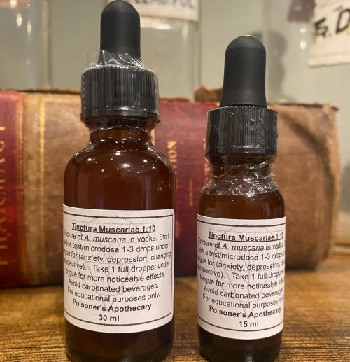 Amanita mushroom tinctures have been restocked and now come in two sizes! I know a lot of people hav