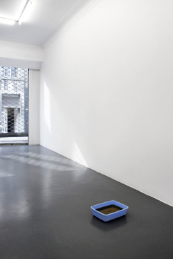 mentaltimetraveller:  Darren Bader,  Cat Litter and Olive Oil @ Office Baroque