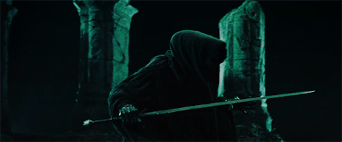 definitelyoneoftheguys:Nazgûl: Oh shit…