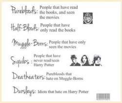 daily-harry-potter:  A quick analysis of all Harry Potter fanshttp://daily-harry-potter.tumblr.com