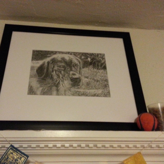 This could be a long story, but I’ll try to keep it short. Several months ago, the Hunt’s dog was sick and Jason offered to use his considerable talents to create a portrait of your pet for a lower than usual price to cover vet bills. (Let’s stop...