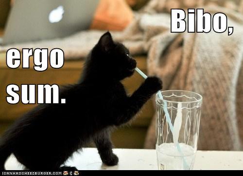 interretialia:interretialia:Bibo, ergo sum.I drink, therefore I am.(From Bestiaria Latina Blog.)