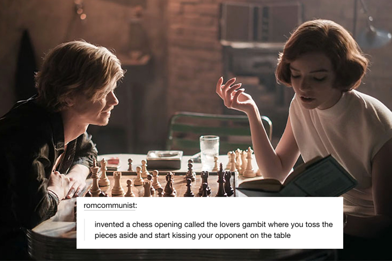 the queen's gambit on Tumblr