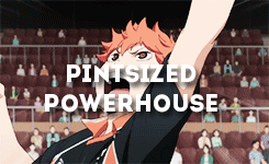 furyokus:  Hinata Shouyou + Character Tropes 