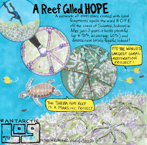 Did you know that there&rsquo;s an artificial reef the spells HOPE? Learn more via our most rece