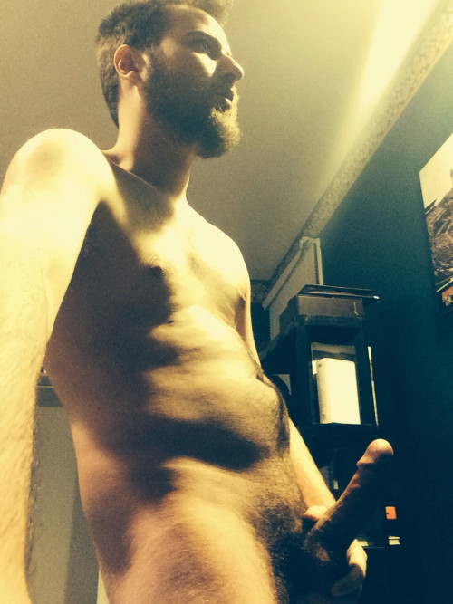 The Wide-Browed Erotic