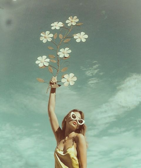 By Dana Trippe