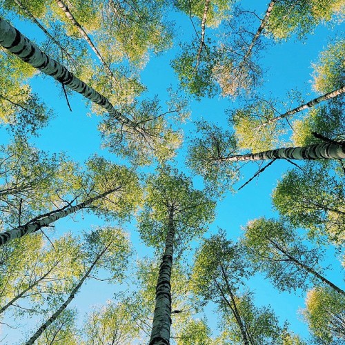 crossconnectmag:  Photography by Sandra Linnell Sandra Linnell is a 36 years old self-taught photographer, based in Stockholm, Sweden. She shoots a lot of nature and lifestyle photography using an Olympus OMD EM-10 and is an ambassador of the brand. 