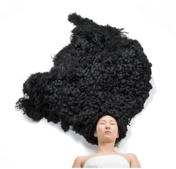 actegratuit:  Comfort Hair is a sculpture