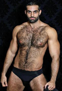 marcel03801:  ombusman:  Hairy man  Everything about id Furfect! 