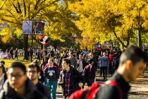 November in photos at Northeastern University.