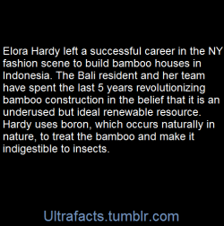 ultrafacts:  http://ibuku.com/about/our-story/  (Fact Source) For more facts, follow Ultrafacts   