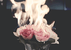 https://69.media.tumblr.com/3fac013b5f715ea432687132799869a7/tumblr_nii118qw9v1rljwqwo1_500.gif