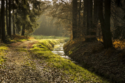 Lankheet Haaksbergen - Revisited by Kees Verburg on Flickr.