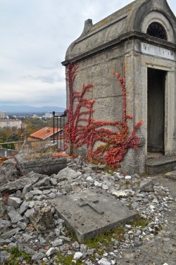 Graniteonmypizza: Ancien Cimetière Loyasse, Lyon, France, November 2017