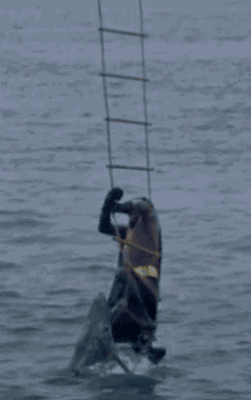 gameraboy:  Presenting the most epic fight ever, Batman vs. Shark!  From Batman the Movie (1966)