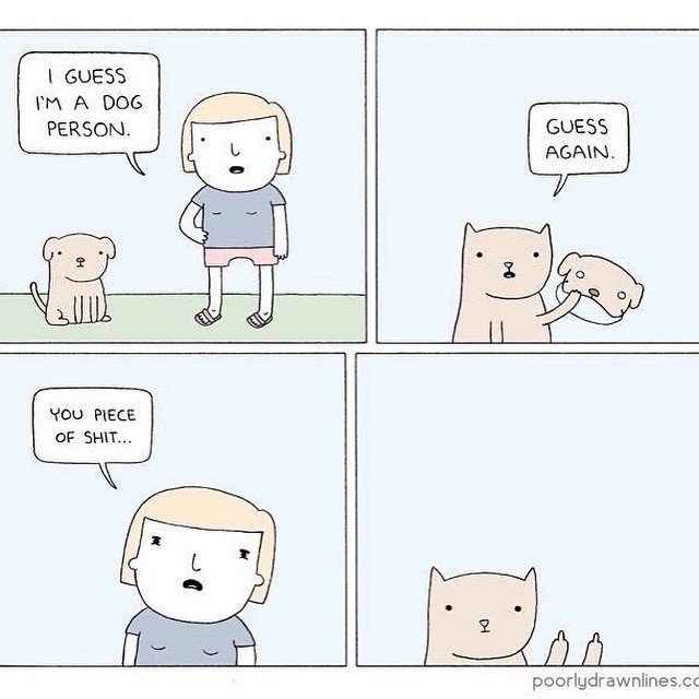 skin-rivets-tyler:  piercingbytyler:  Cats are the worst.  We can’t be friends