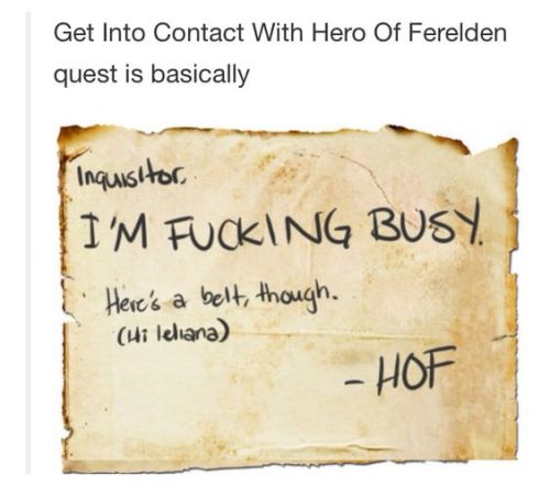 the hero of ferelden