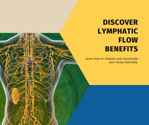 Lymphatic Flow: A Pathway To Cleansing, Rejuvenation, And Natural BalanceShaina TranquilinoJune 16, 2024