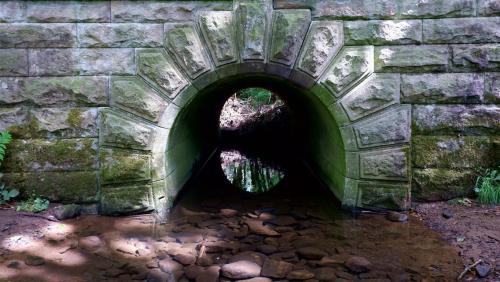 A Bridge in the Woods.