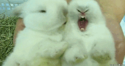 pleaseholdmyhalo:  Lmao. Ummmm cravehiminallways212 I just couldn’t help it.  Earjobs&hellip;.