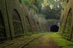 destroyed-and-abandoned:  Abandoned railway